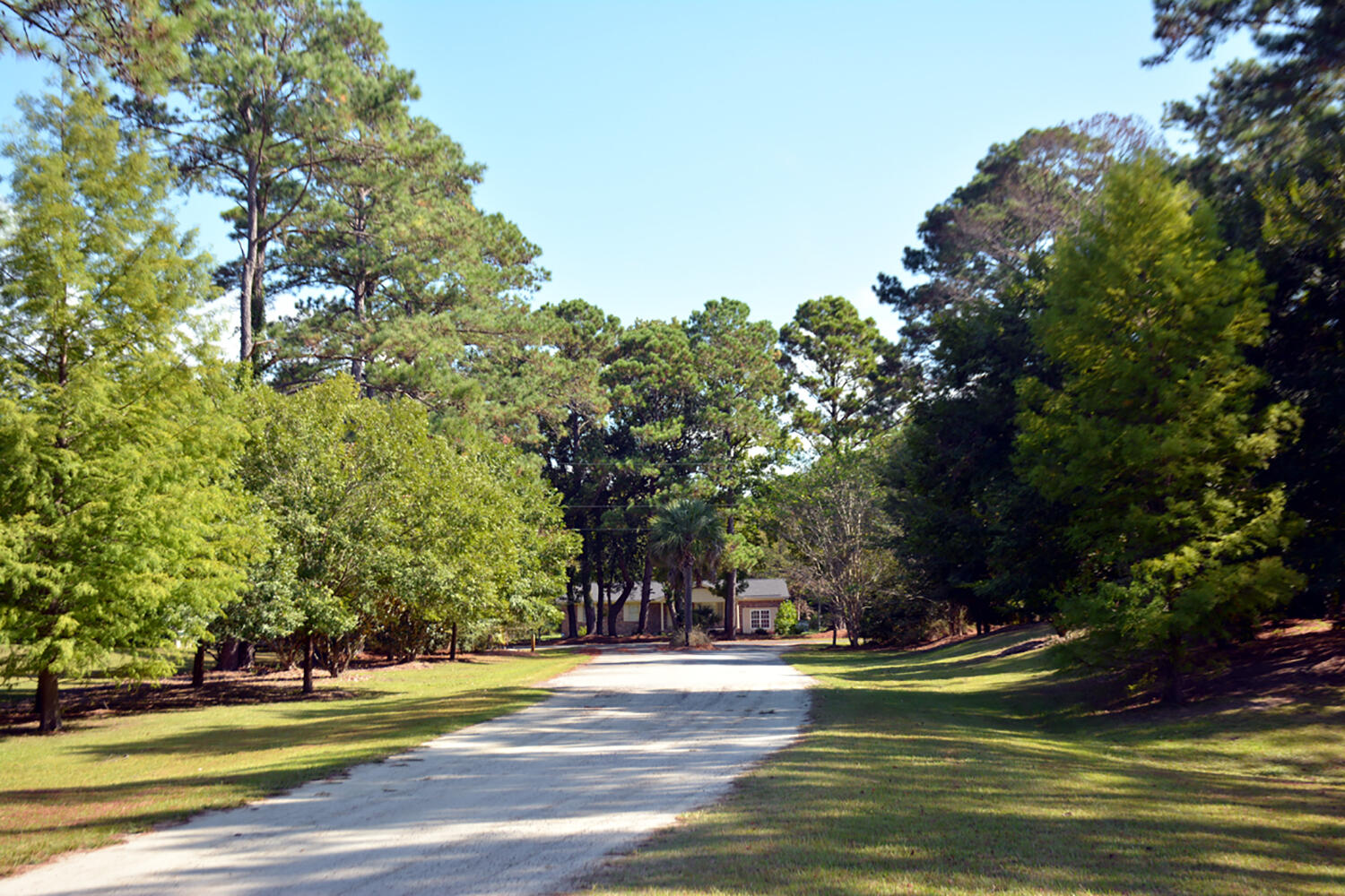 57 Seaside Lane Edisto Island, SC 29438 - Photo 14 of 18 DSC_5742_2773