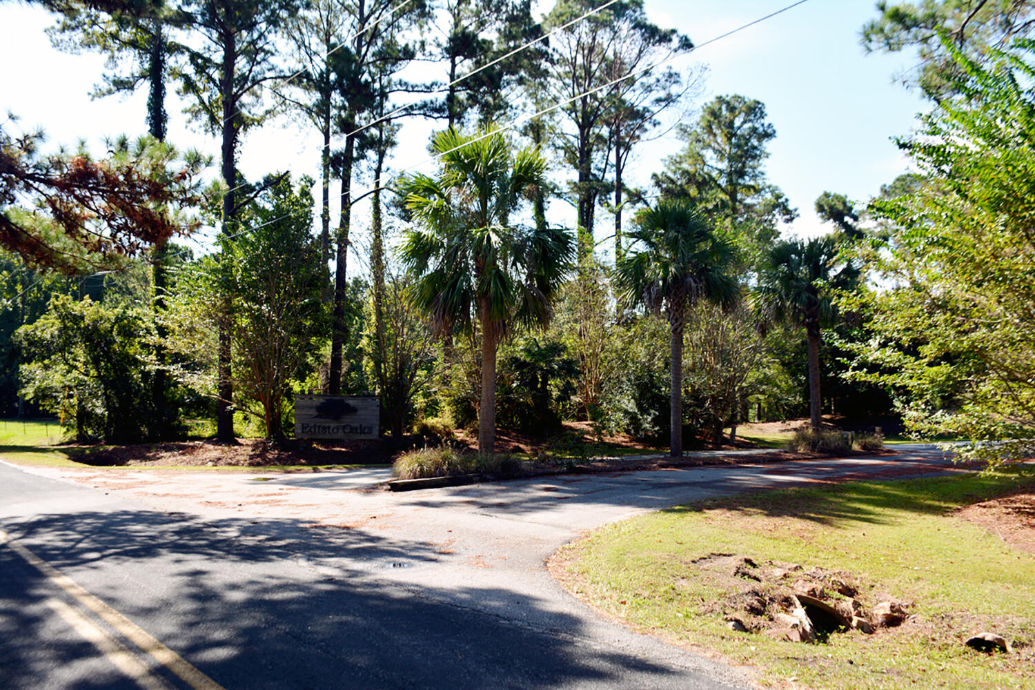 57 Seaside Lane Edisto Island, SC 29438 - Photo 15 of 18 DSC_5744_2775 - Copy