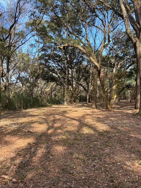 57 Seaside Lane Edisto Island, SC 29438 - Photo 2 of 18 IMG_0771