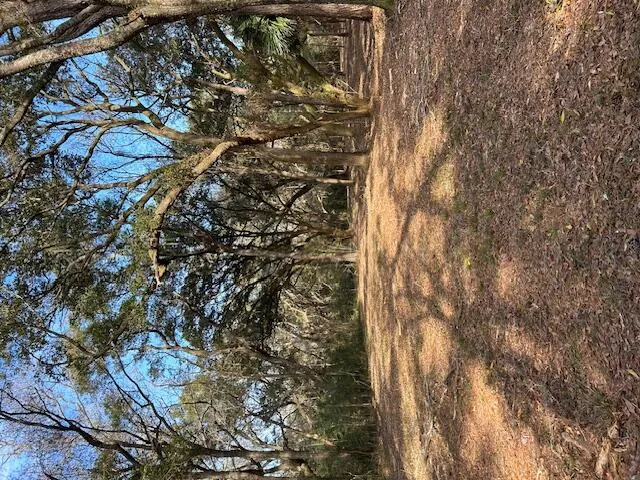 $164,500 | 57 Seaside Lane, Edisto Island, SC 29438