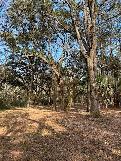 57 Seaside Lane Edisto Island, SC 29438 - Photo 4 of 18 IMG_0773