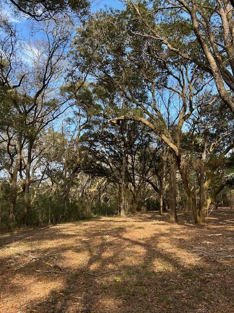 57 Seaside Lane Edisto Island, SC 29438 - Photo 5 of 18 IMG_0774