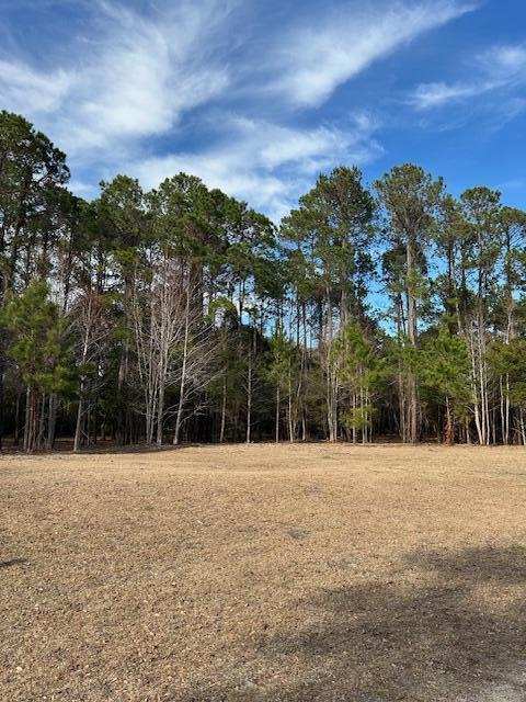 57 Seaside Lane Edisto Island, SC 29438 - Photo 6 of 18 IMG_0775