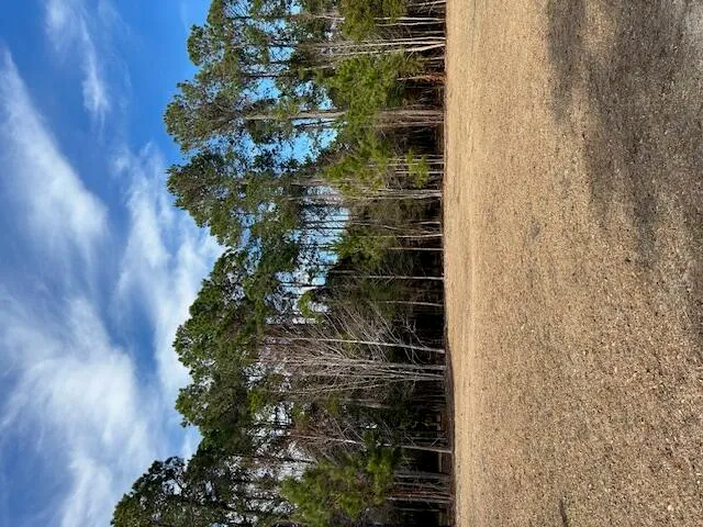 $164,500 | 57 Seaside Lane, Edisto Island, SC 29438