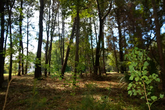 $164,500 | 57 Seaside Lane, Edisto Island, SC 29438