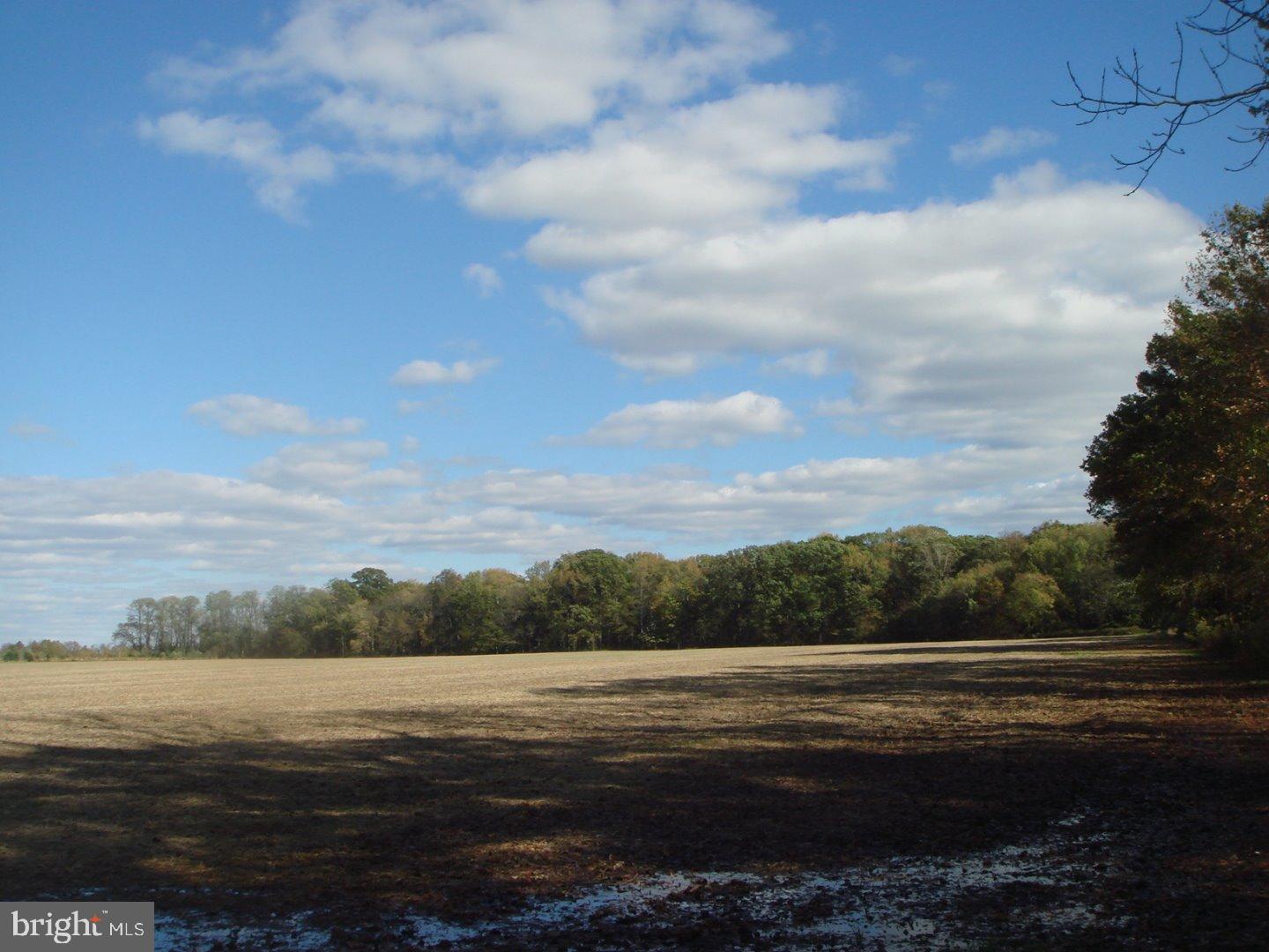 0 Hogback Road Bordentown, NJ 08505 - Photo 2 of 4