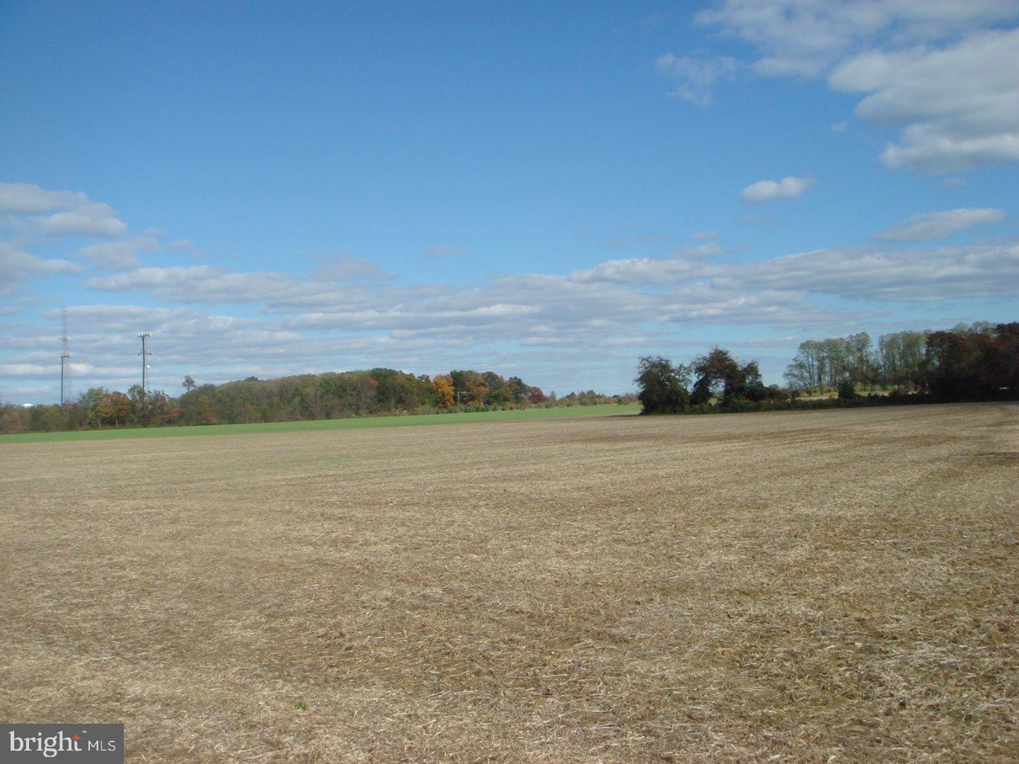 0 Hogback Road Bordentown, NJ 08505 - Photo 3 of 4