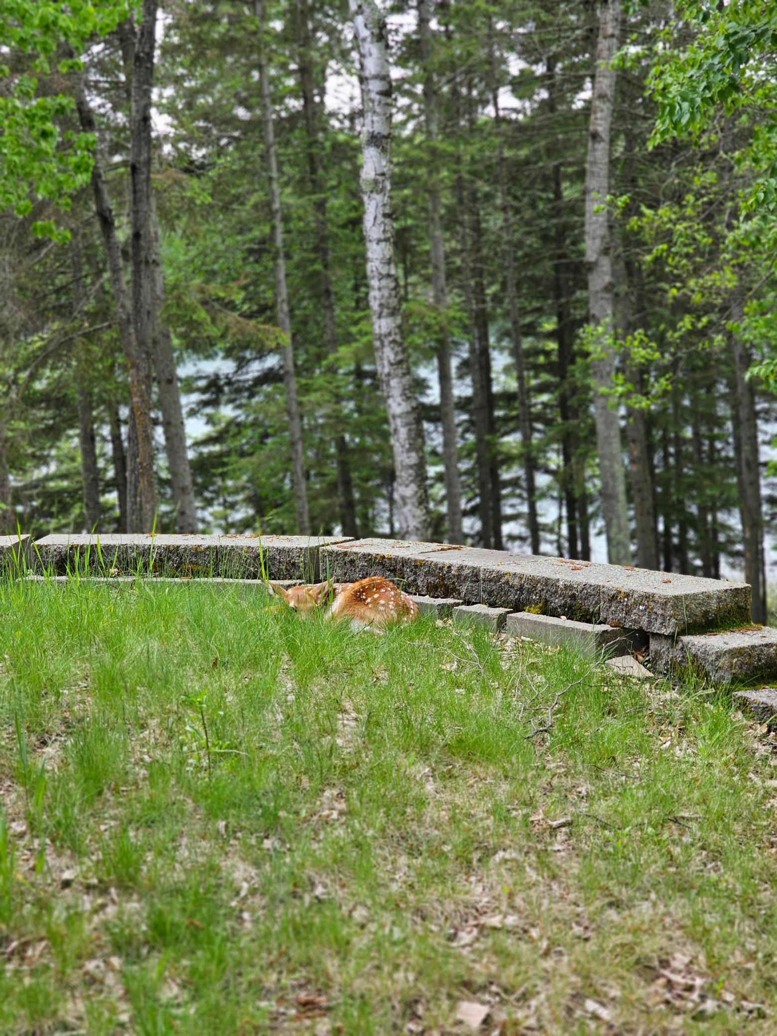 35365 East Boot Lake Road Park Rapids, MN 56470 - Photo 53 of 87