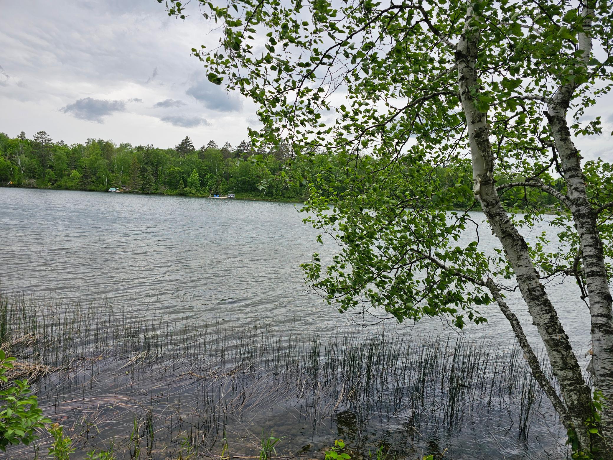 35365 East Boot Lake Road Park Rapids, MN 56470 - Photo 55 of 87