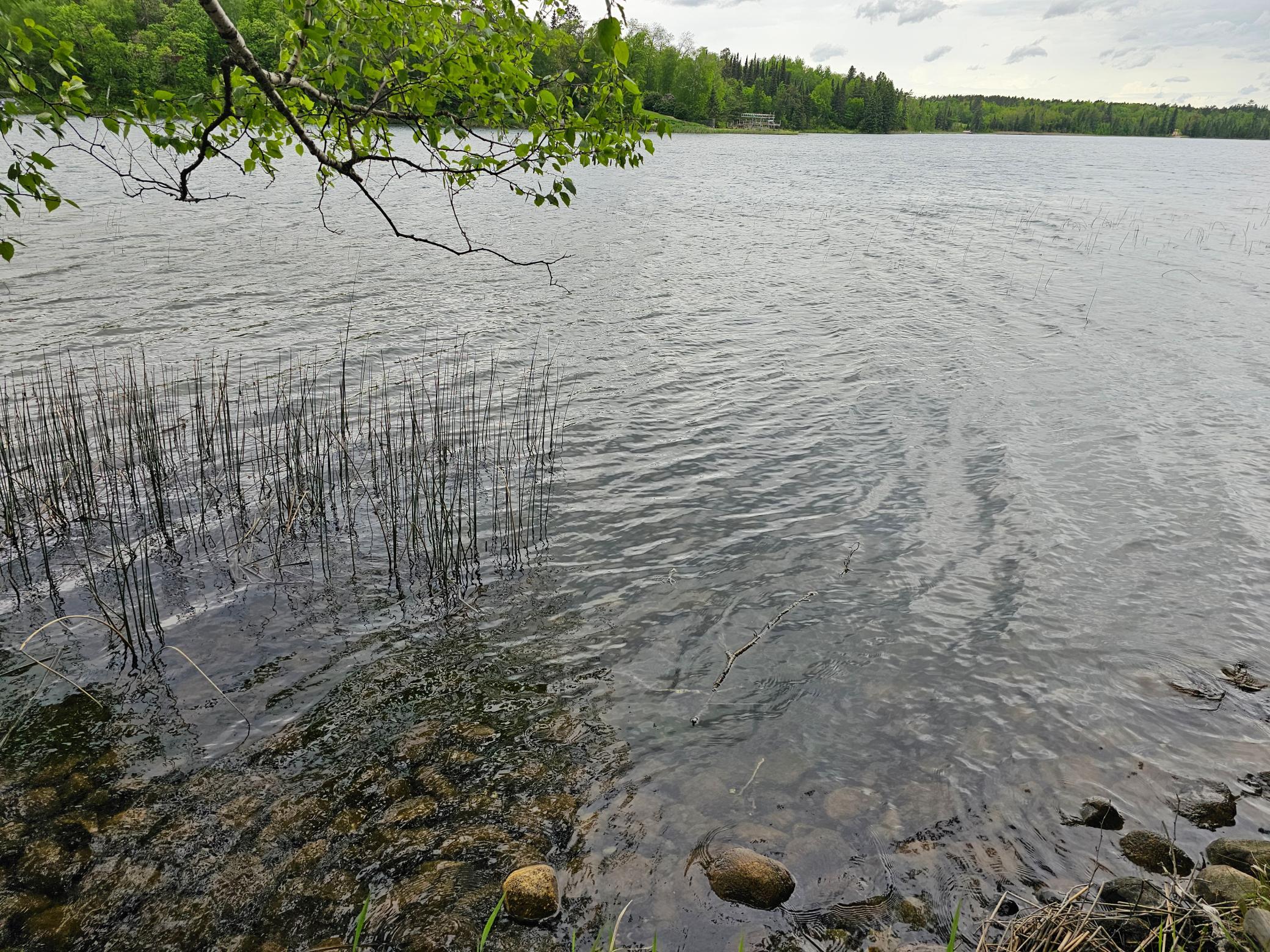 35365 East Boot Lake Road Park Rapids, MN 56470 - Photo 58 of 87