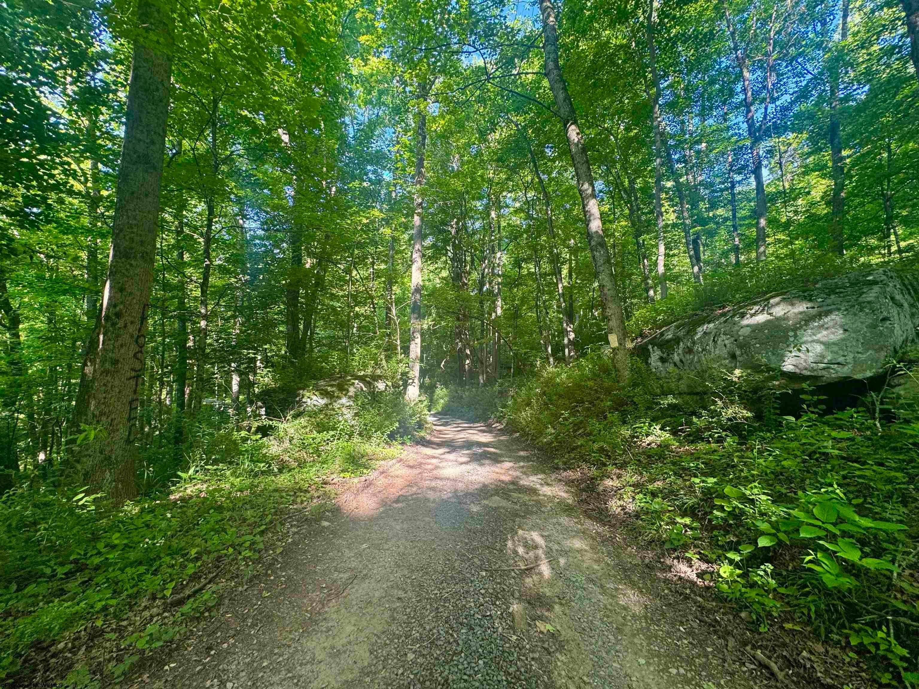 Tbd Calvert Shaver Road Rowlesburg, WV 26425 - Photo 25 of 35 Gallery Image 25