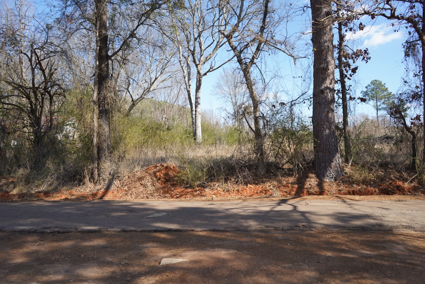 3503 Rd Jefferson Tx 75657 Road Jefferson, TX 75657 - Photo 5 of 8