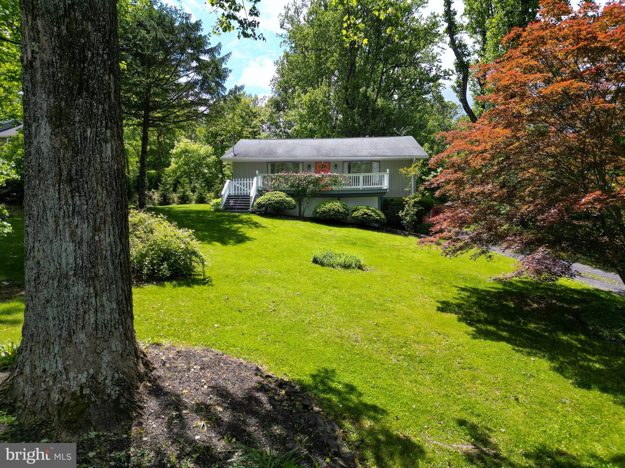 175 Mountain Heights Road Front Royal, VA 22630 - Photo 4 of 65 Gallery Image 4