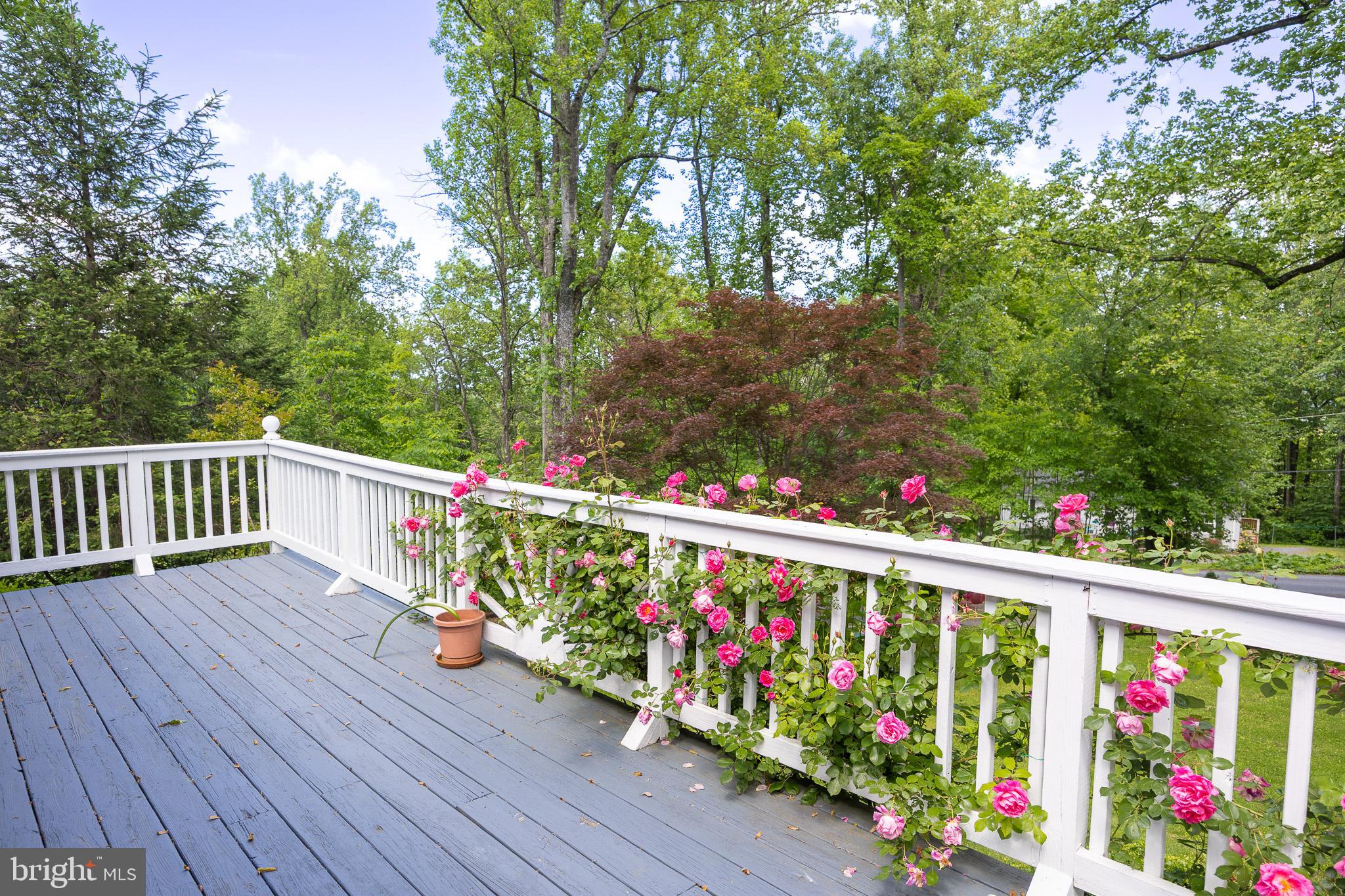 175 Mountain Heights Road Front Royal, VA 22630 - Photo 45 of 65 Gallery Image 45
