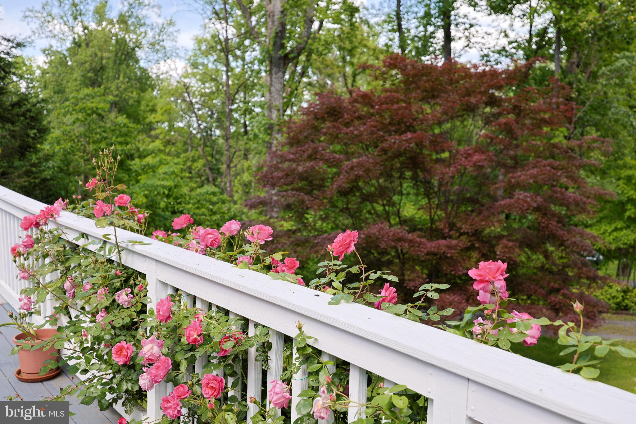 175 Mountain Heights Road Front Royal, VA 22630 - Photo 46 of 65 Gallery Image 46