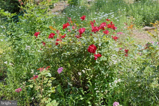 $347,500 | 175 Mountain Heights Road, Front Royal, VA 22630