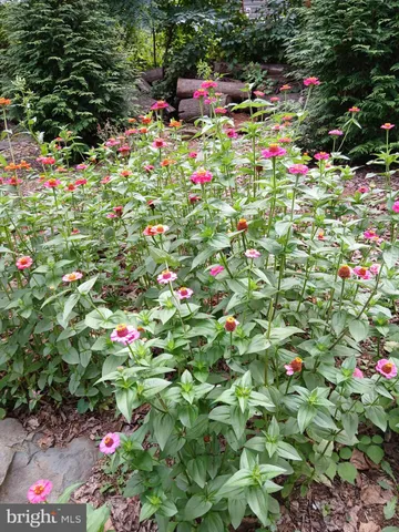 $347,500 | 175 Mountain Heights Road, Front Royal, VA 22630