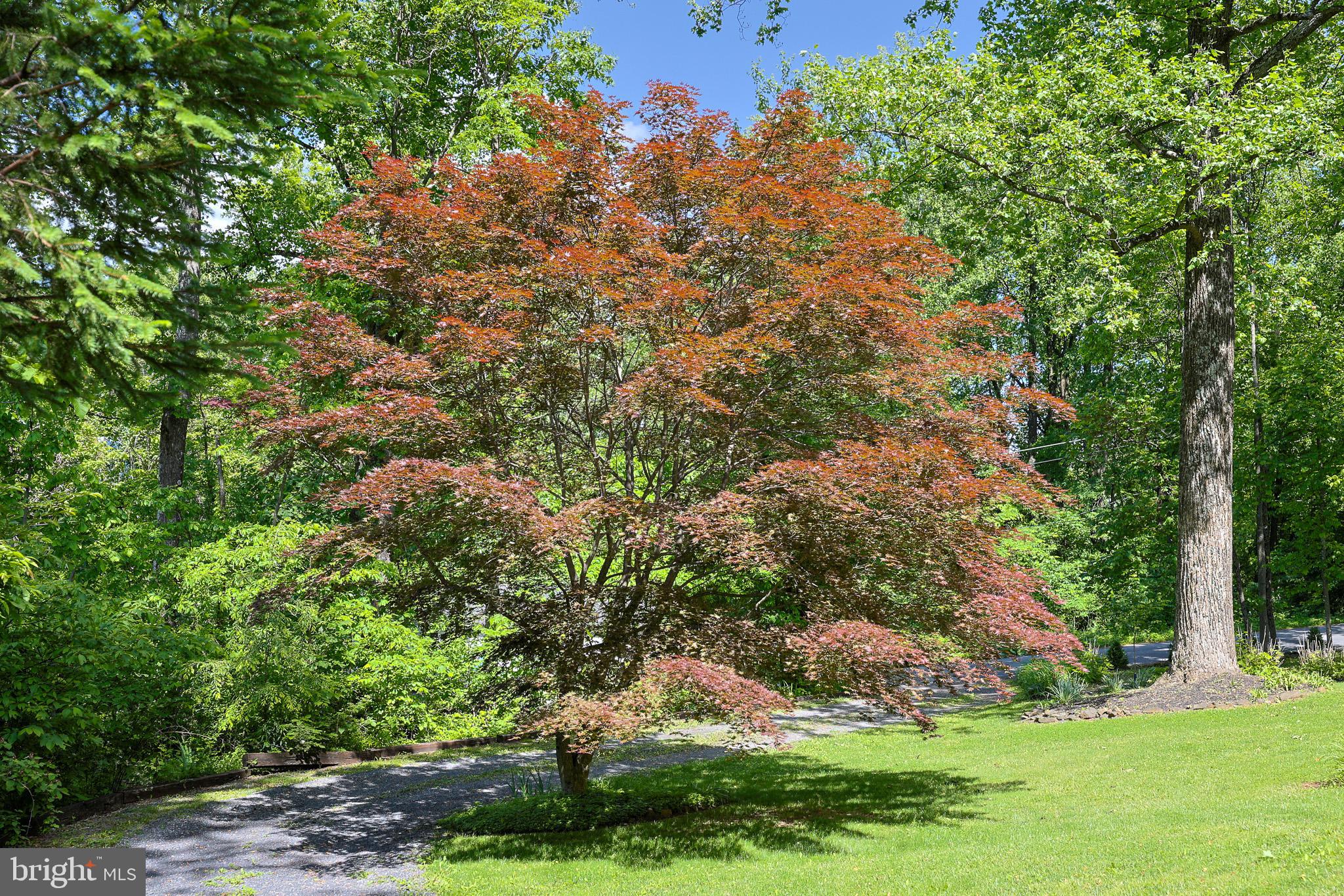 175 Mountain Heights Road Front Royal, VA 22630 - Photo 51 of 65 Gallery Image 51