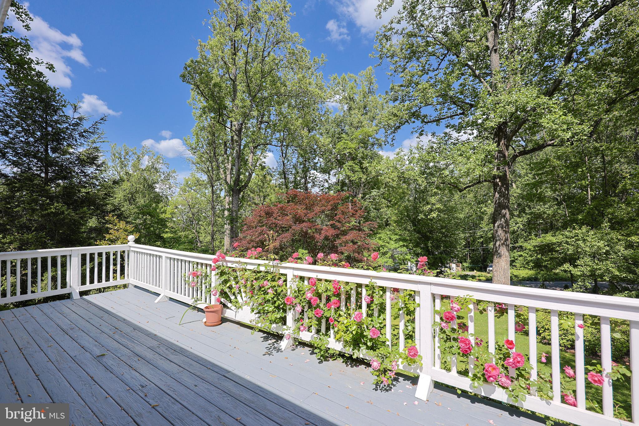 175 Mountain Heights Road Front Royal, VA 22630 - Photo 55 of 65 Gallery Image 55
