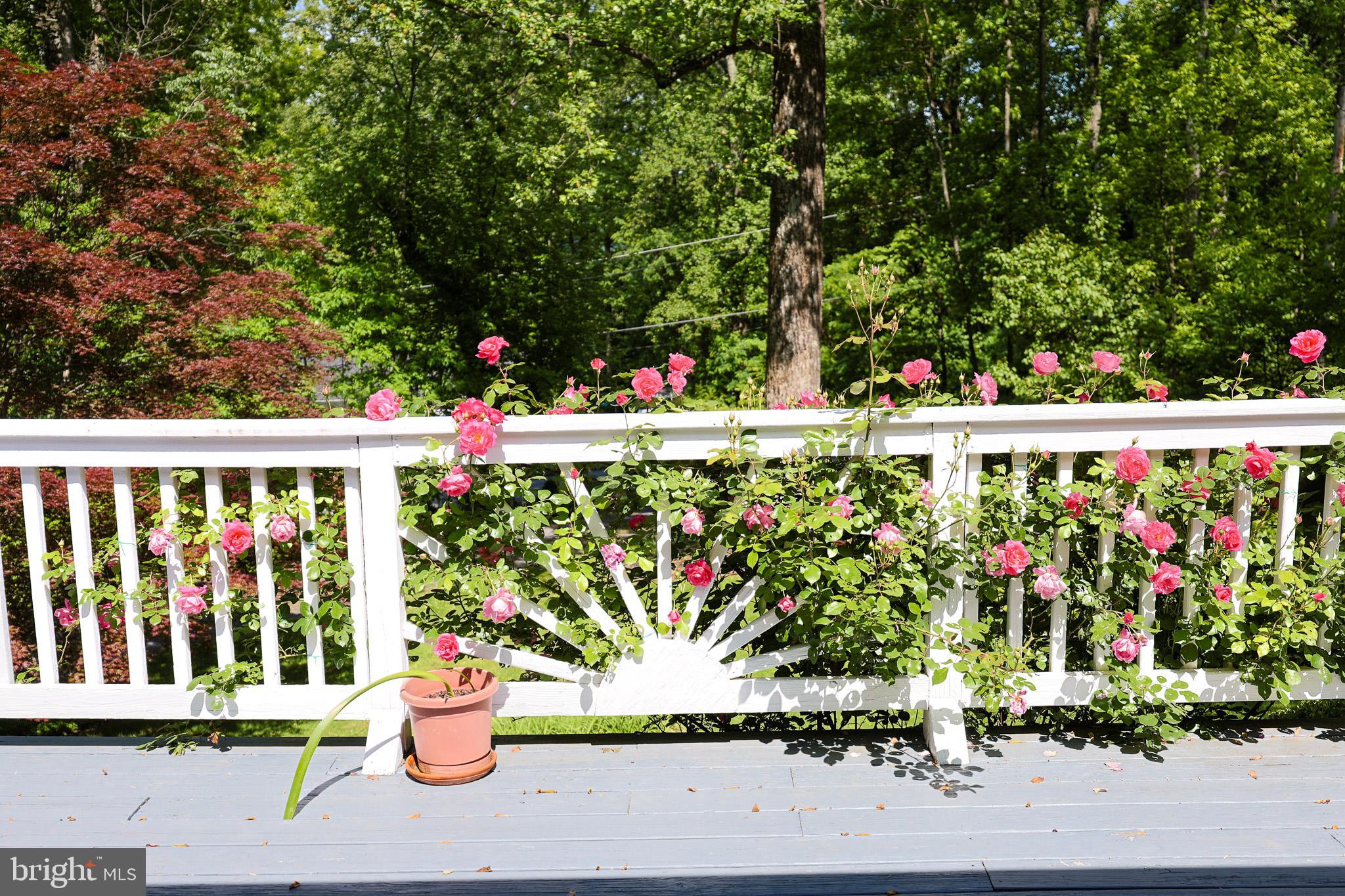 175 Mountain Heights Road Front Royal, VA 22630 - Photo 56 of 65 Gallery Image 56