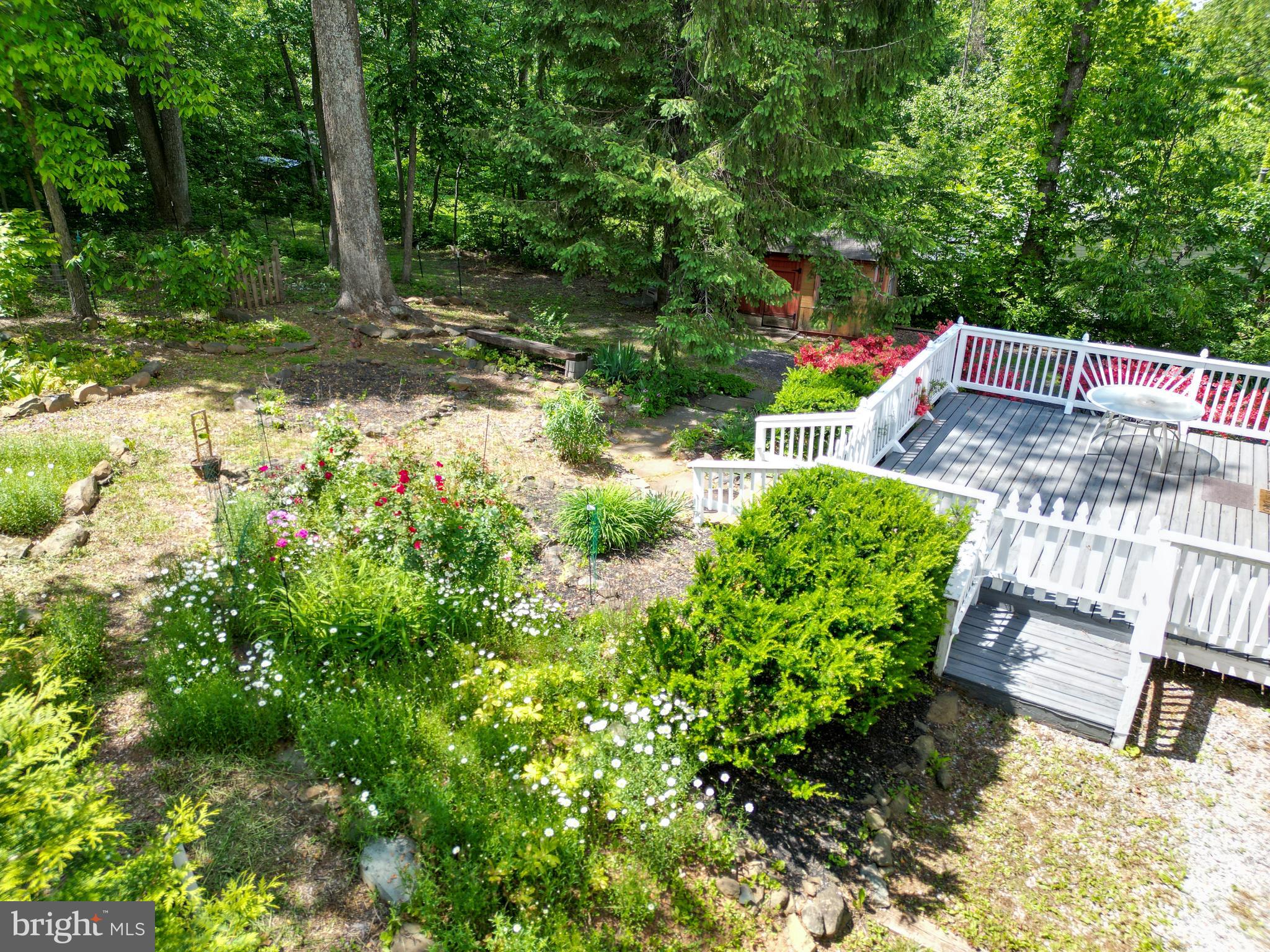175 Mountain Heights Road Front Royal, VA 22630 - Photo 57 of 65 Gallery Image 57