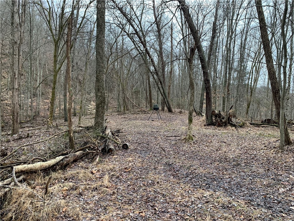 911 Lick Branch Road Poca, WV 25159 - Photo 22 of 24 Gallery Image 22
