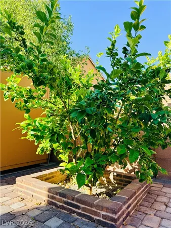 $3,295 | 6544 Claystone Creek Court, North Las Vegas, NV 89084