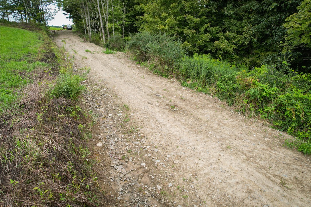 Hill Road Spencer, NY 14883 - Photo 11 of 48