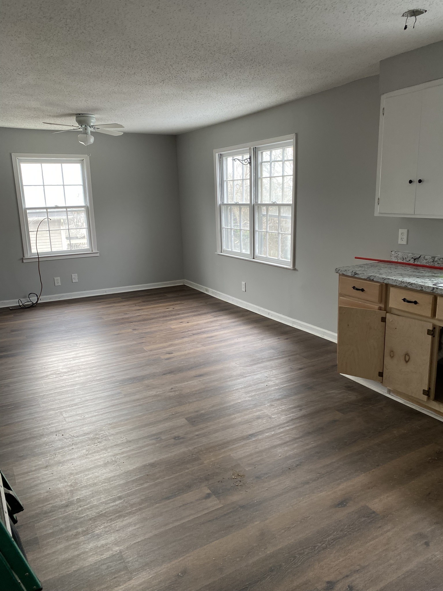 339 West Washington Street Pulaski, TN 38478 - Photo 19 of 23 an empty room with wooden floor and windows