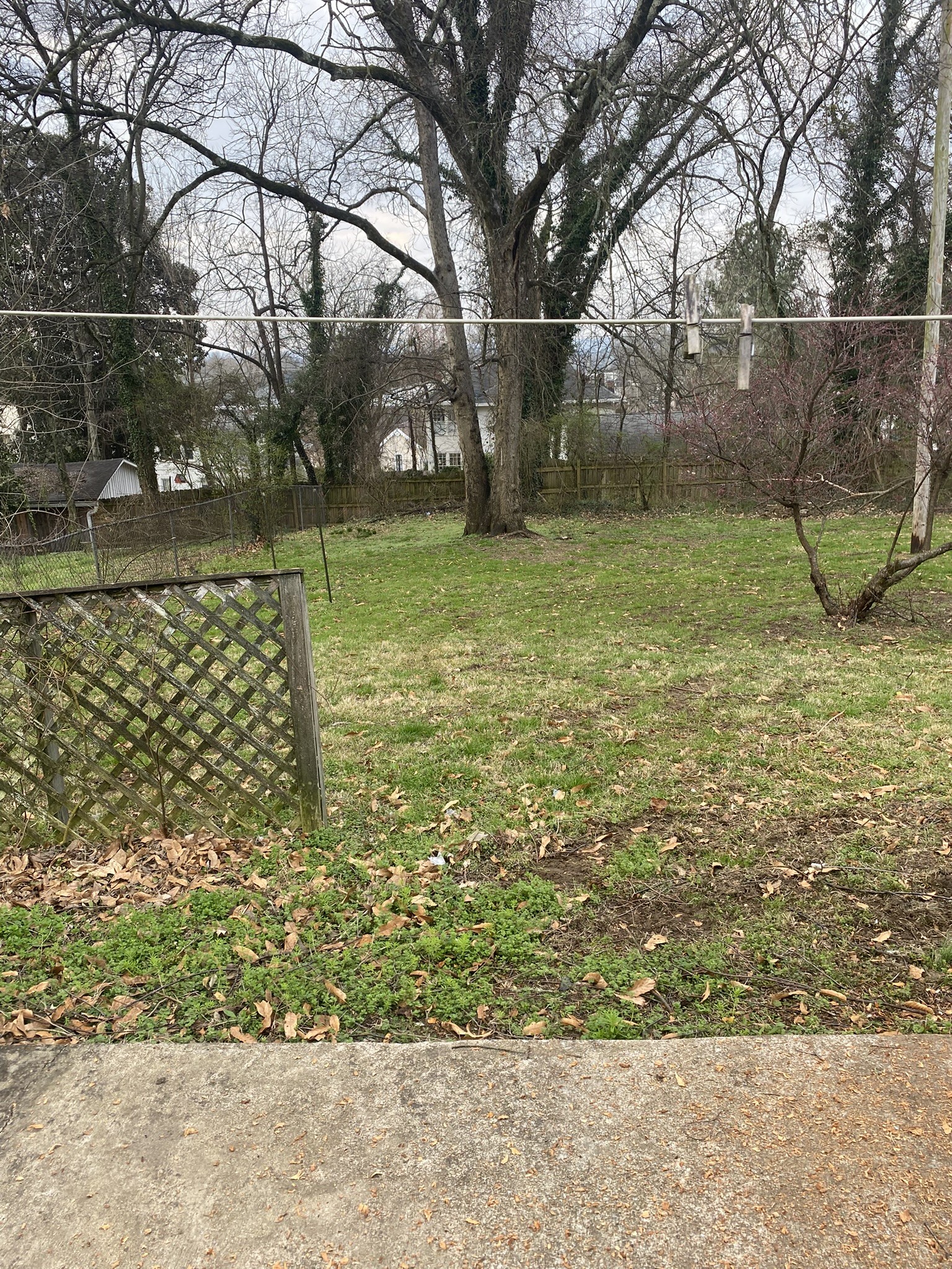 339 West Washington Street Pulaski, TN 38478 - Photo 9 of 23 a view of a yard
