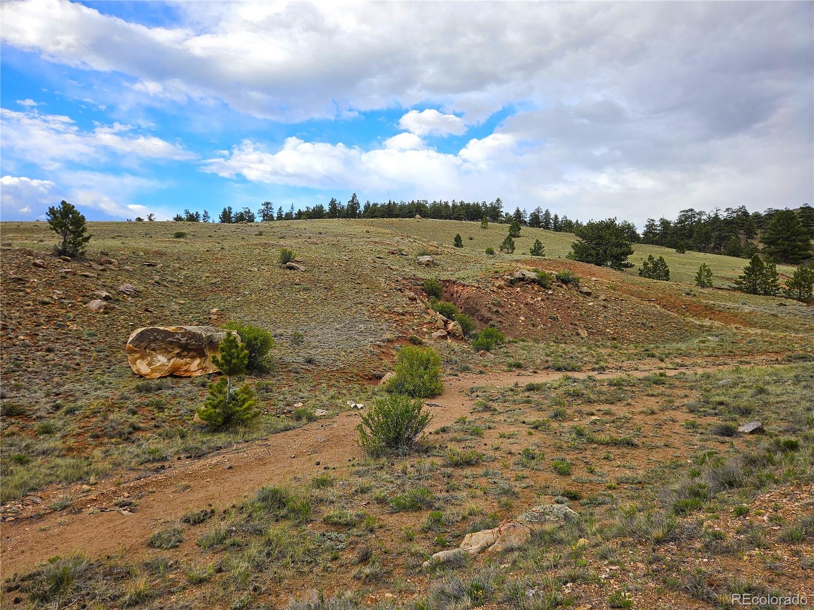 Fernando Trail Hartsel, CO 80449 - Photo 3 of 35