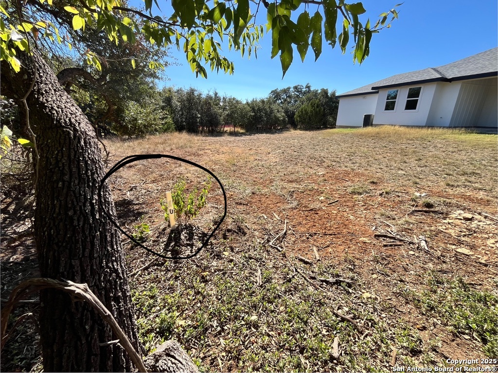 231 Peter Kleid Loop Blanco, TX 78606 - Photo 22 of 26