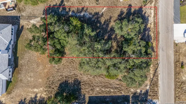 a view of a garden with flowers