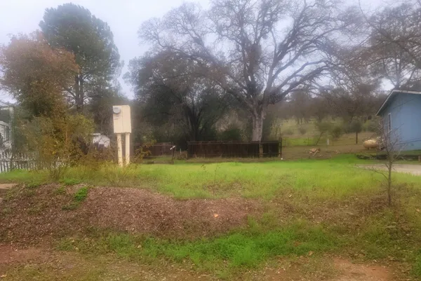 a view of a yard with a tree