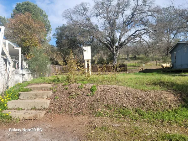 a view of a yard with plants and trees