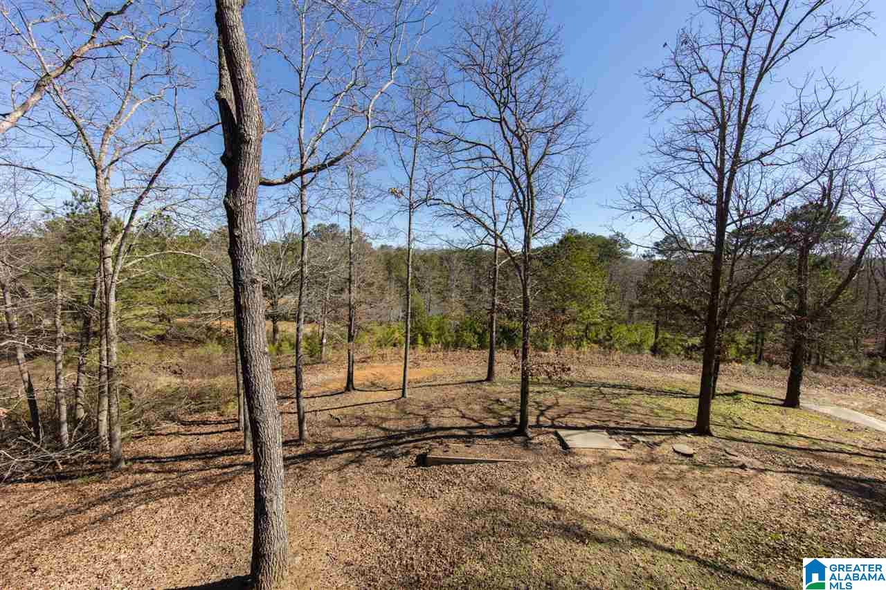 4115 Bradford Hopewell Road Pinson, AL 35126 - Photo 18 of 20