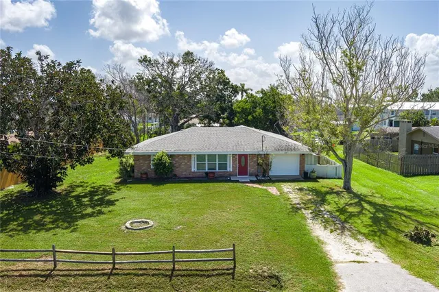 a view of a garden with plants
