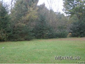 5102 Oswego Road Rome, NY 13440 - Photo 5 of 5 large yard