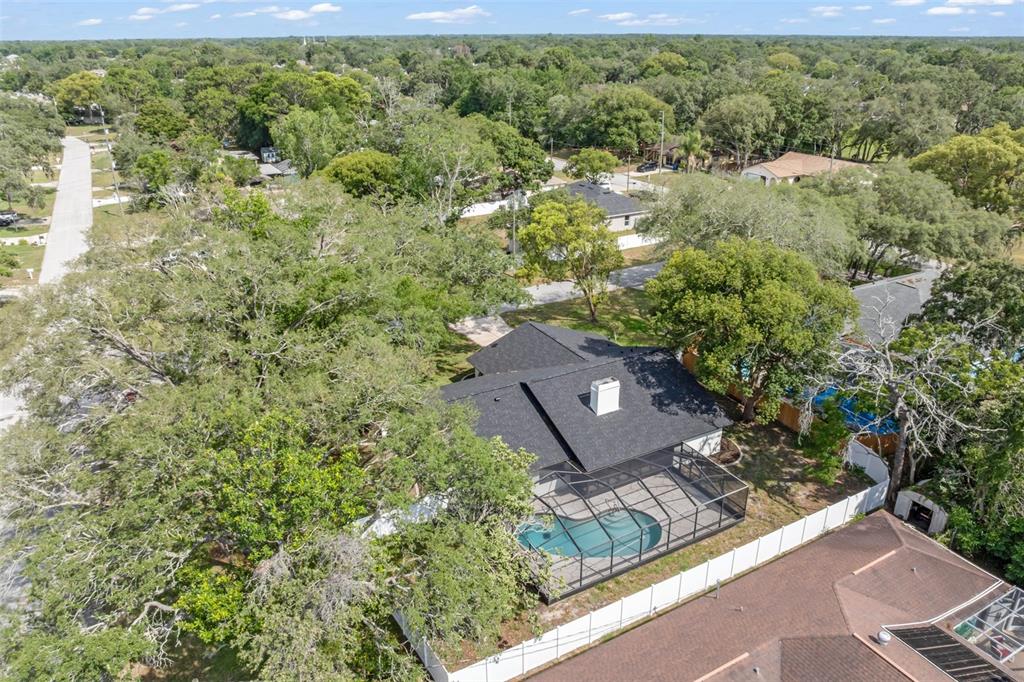 2051 Laredo Avenue Spring Hill, FL 34608 - Photo 44 of 44