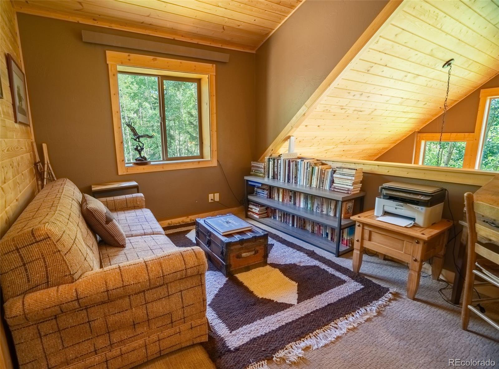 25879 County Road Nathrop, CO 81236 - Photo 7 of 44