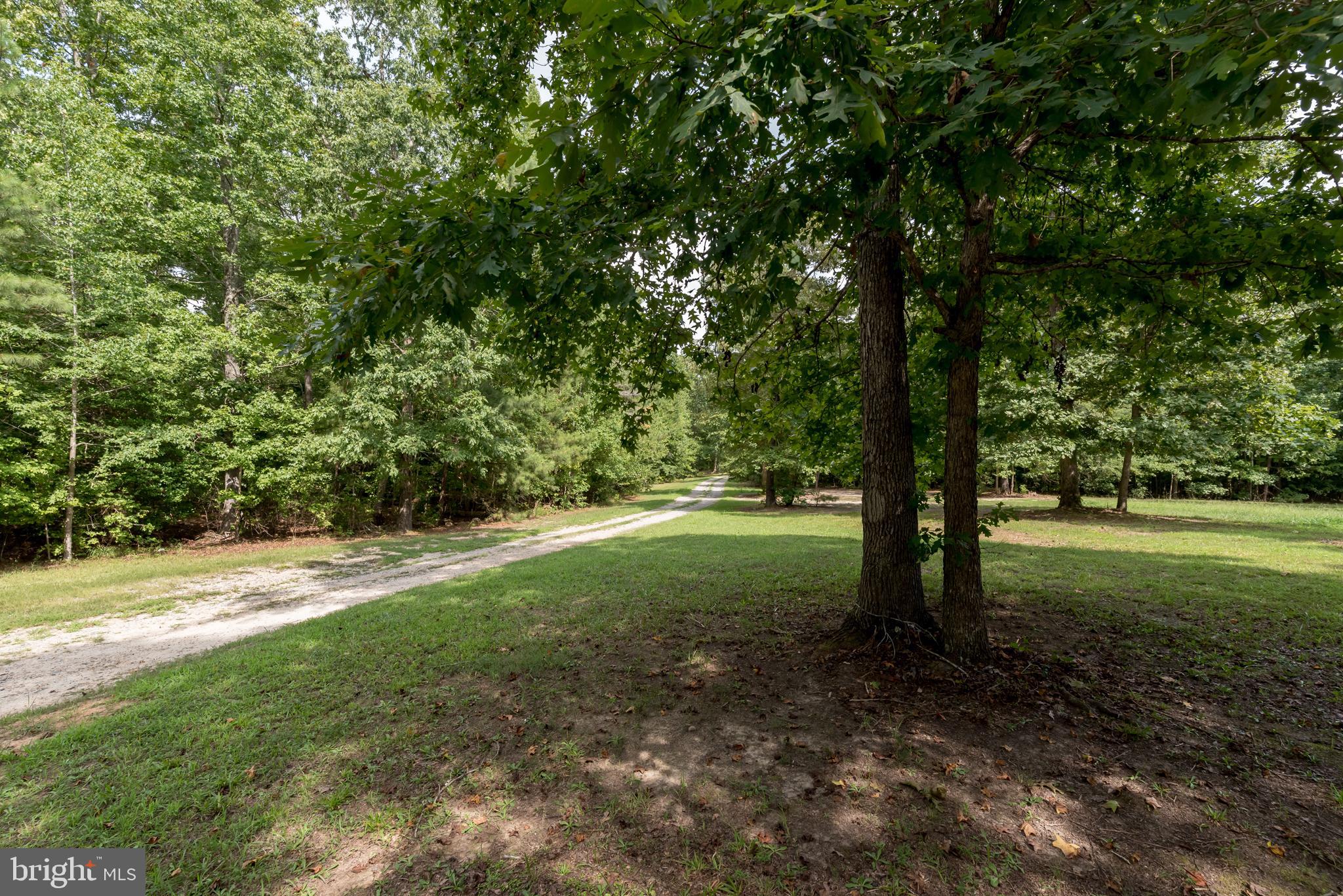 13400 Eppes Falls Road Chesterfield, VA 23838 - Photo 64 of 93