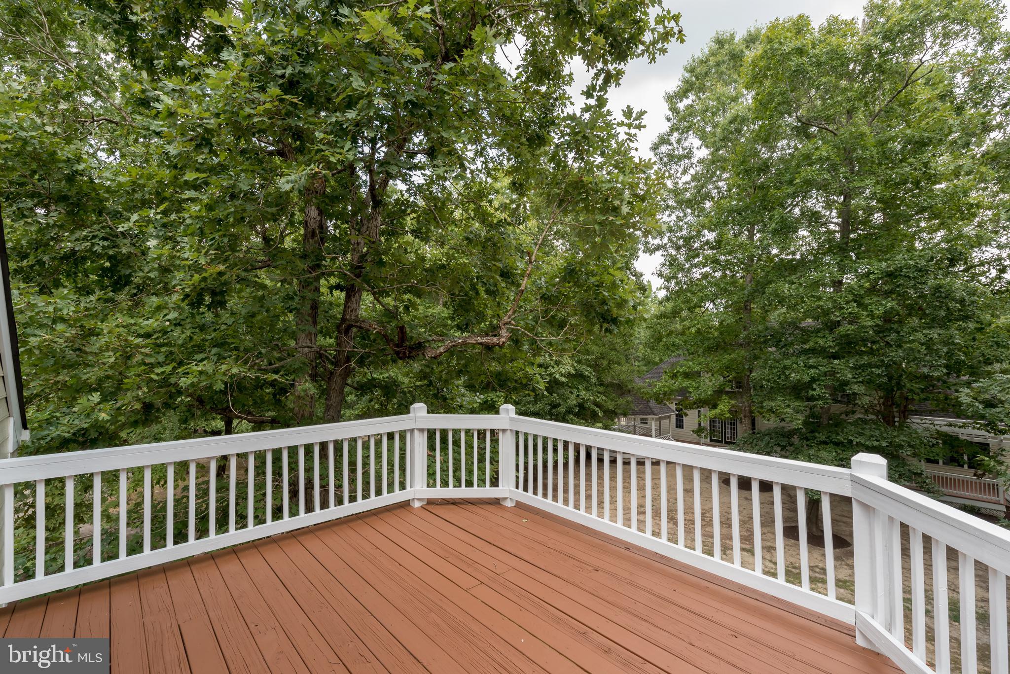 13400 Eppes Falls Road Chesterfield, VA 23838 - Photo 91 of 93 Gallery Image 91