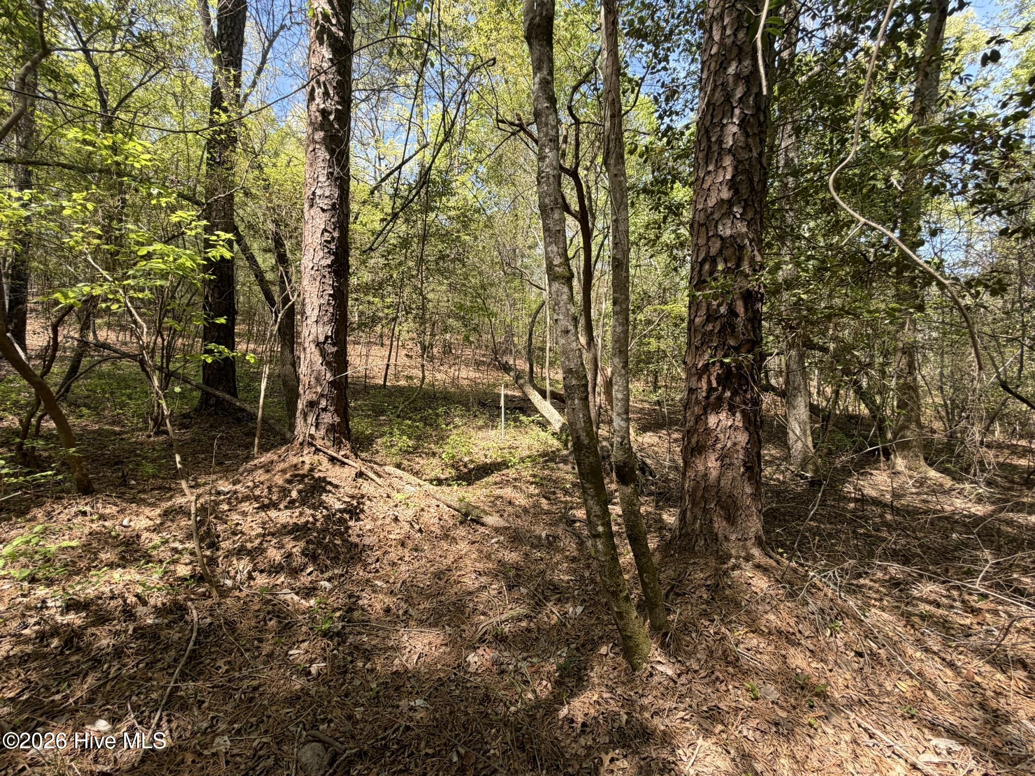 1012 R Cedar Lane West End, NC 27376 - Photo 12 of 13 IMG_0785