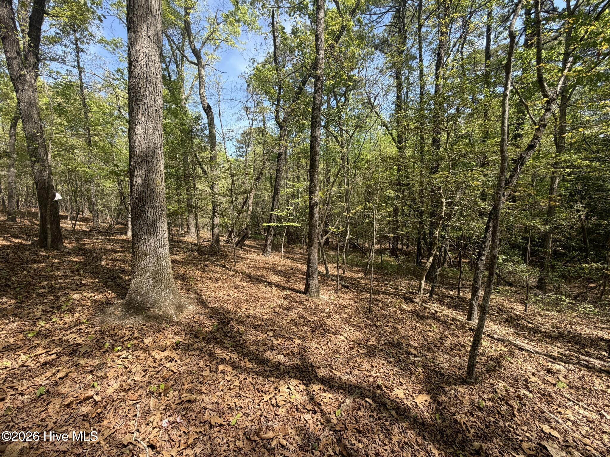 1012 R Cedar Lane West End, NC 27376 - Photo 13 of 13 IMG_0787