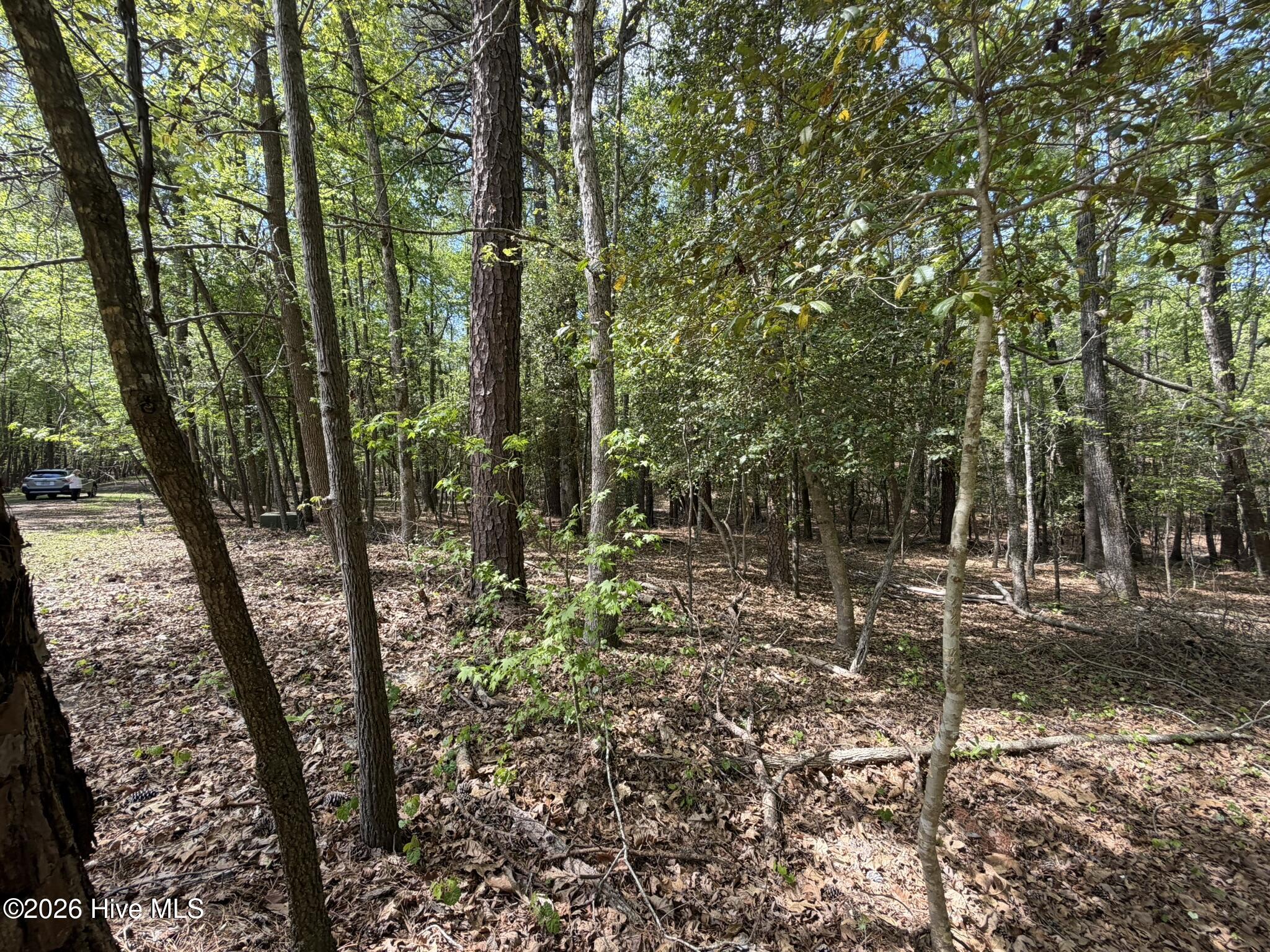 1012 R Cedar Lane West End, NC 27376 - Photo 2 of 13 Nature all around!