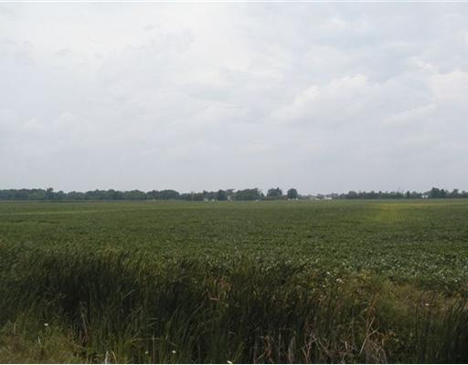 0 Rae Par C Dundee, MI 48131 - Photo 2 of 2 Photo 2