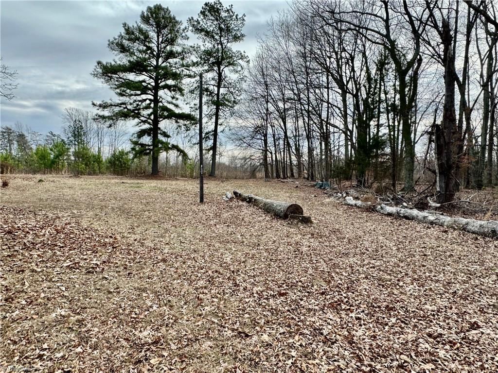 281 Perkinson Road Ruffin, NC 27326 - Photo 25 of 25