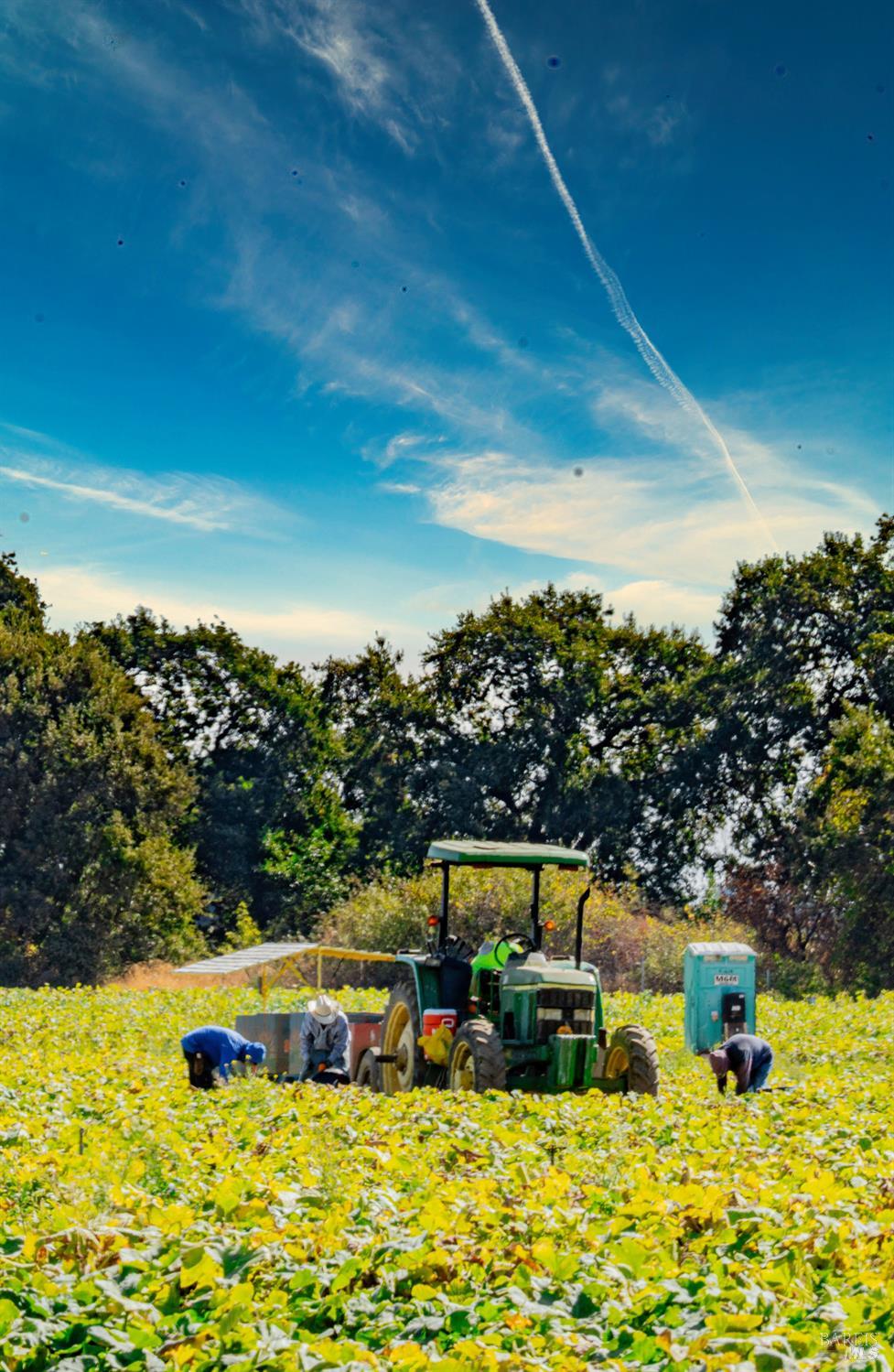 2626 Rockville Road Fairfield, CA 94534 - Photo 17 of 22 a view of swimming pool with lawn chairs