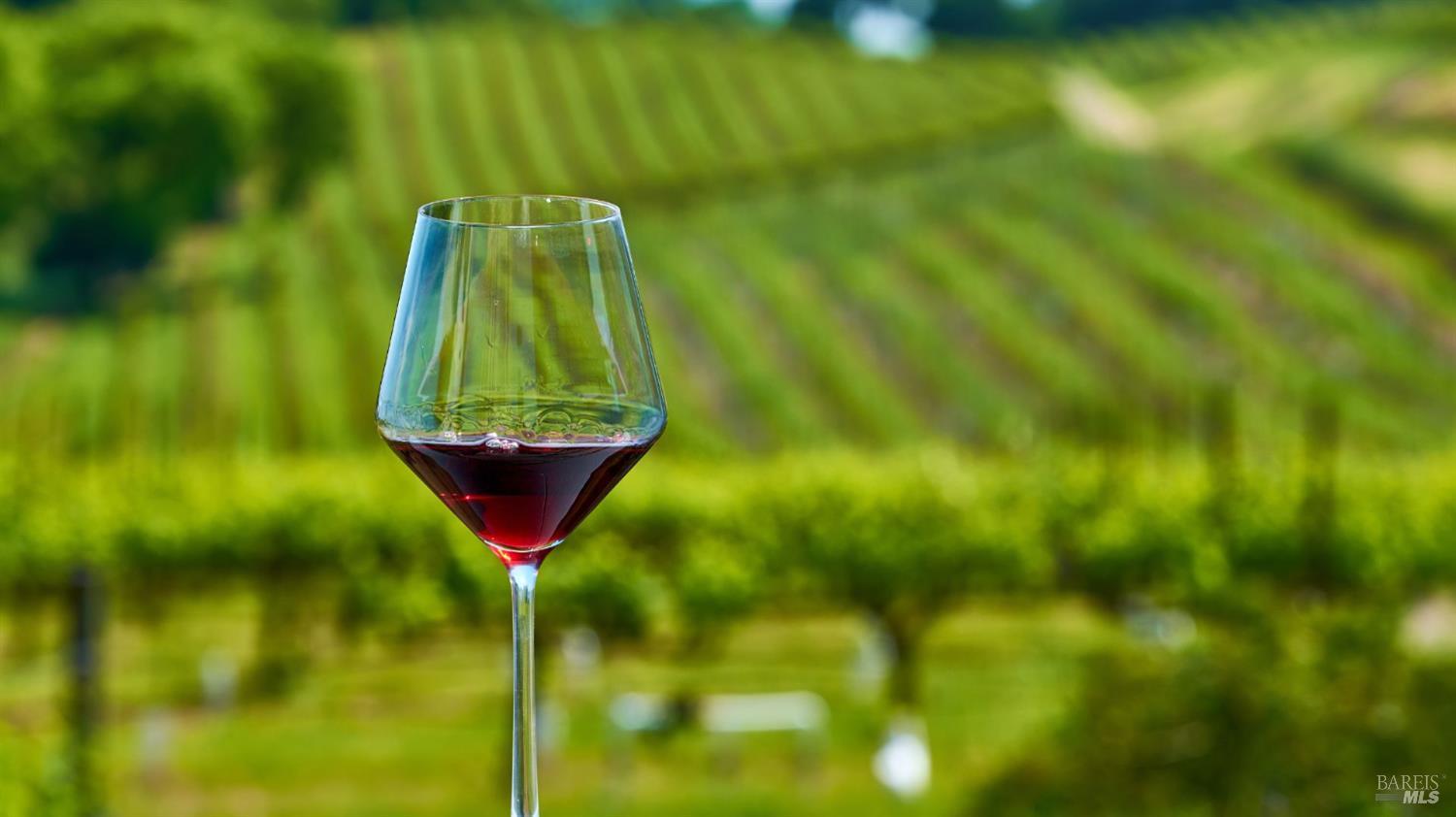 2626 Rockville Road Fairfield, CA 94534 - Photo 21 of 22 a view of a back yard of a house