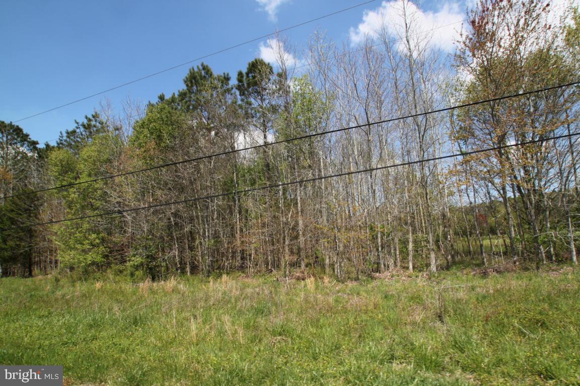 Georgetown Road Berlin, MD 21811 - Photo 2 of 2 Gallery Image 2
